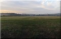 Fields north-west of Leesthorpe Road