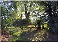 Gate to fields south of Sketchley Lane