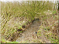 The Dingle Brook feeding Rudyard Lake