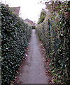 Hedge-lined path to Roman Way, Caerleon