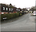 Houses and hedges, Gwladys Place, Caerleon