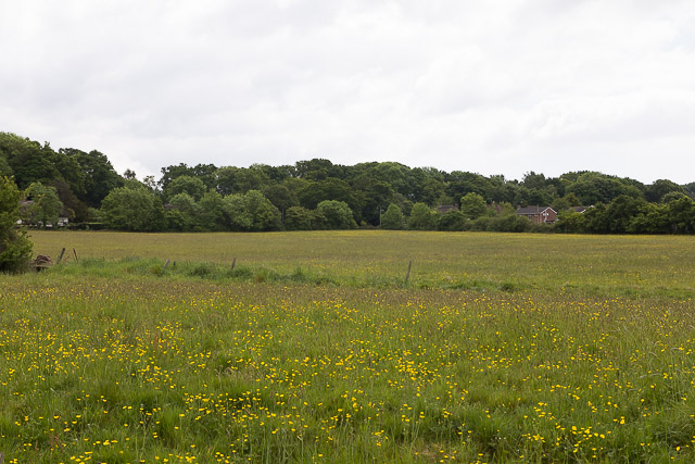 Fields west of Nouale Lane