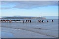SZ5882 : New Year's Day swim, Small Hope Beach by Paul Coueslant