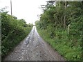 Rough Road (track) and Footpath towards Newbrough