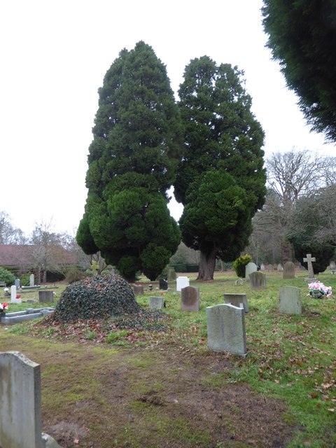 Holy Trinity, Lyne: churchyard (I)