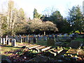 Christchurch, Virginia Water: graves