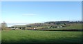 View north of Thurlbear, towards Stoke Hill