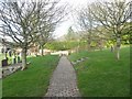 Churchyard path, Stoke St Mary