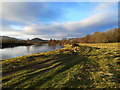 Riverside path to Easter Moy beside the River Conon