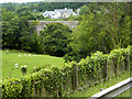 Viaduct at Glasinfryn