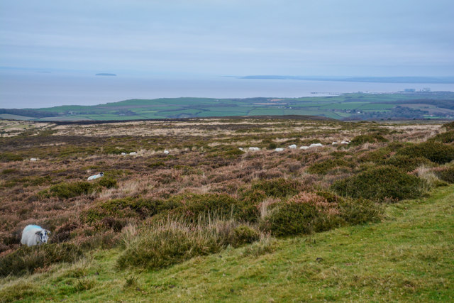 West Somerset : Quantock Hills © Lewis Clarke :: Geograph Britain and ...