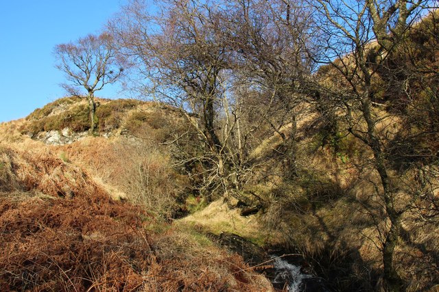 Wooded gully below Cruach Loisgte