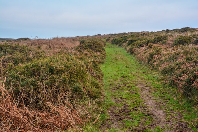 West Somerset : Quantock Hills - © Lewis Clarke Cc-by-sa 2.0 