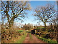 Llwybr Garreg Lwyd / Garreg Lwyd Path