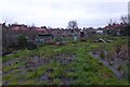 Allotments beside Abbots Road