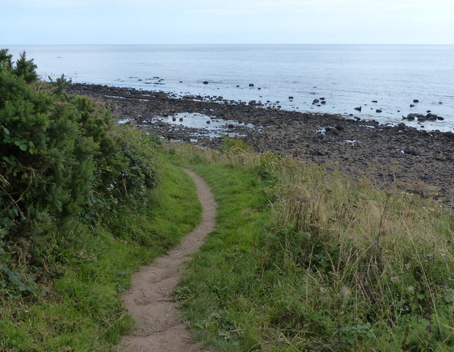 Path along the coast at Howick Haven © Mat Fascione cc-by-sa/2.0 ...