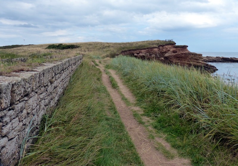 Northumberland Coast Path And St © Mat Fascione Geograph Britain And Ireland