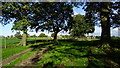 Field path heading towards Rodegreen from Manor Farm, N Rode