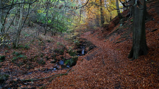 Autumn colours, Porter Clough near Ringinglow