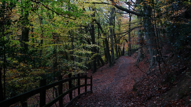 Autumn colours & path, Limb Valley above Whirlow Brook, Sheffield