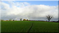 Field path N of Lip Ln (Track) near Brooken