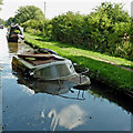 SJ9922 : Sunken boat on the canal near Great Haywood by Roger  D Kidd