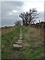 Acre Lane by Crab Tree Hill