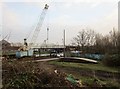 Crane at Waddington