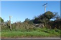 Footpath to Tregarrick Farm