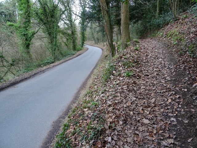 Path beside Knapp Lane