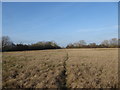 Public footpath towards Oxleaze Farm