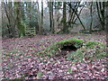 Llwybr Gelli-groes / Gelli-groes Path