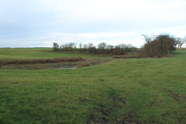 Field and pond west of High Buston