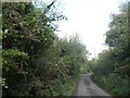 Minor road (part of NCN3) on Corgee Moor