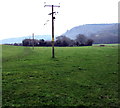 Line spur pole in a Chatham field, Machen