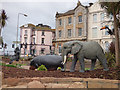 Unexpected wildlife in Dawlish