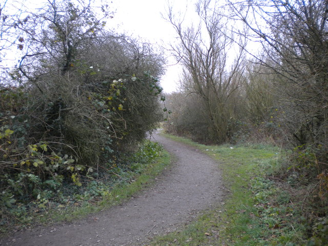 Path towards Snibston Grange Nature Reserve