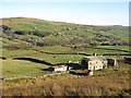 NY8737 : Upper Weardale around St. John's Chapel by Mike Quinn