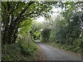 A tunnel of greenery south of Trebell Green