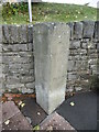 Old Milestone by the B4028, Coleford