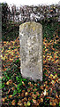 Old Milestone, north of Carter