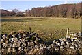 NN7270 : Pasture, Dalnacardoch by Richard Webb