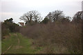 Thanet Coast path near Little Cliffsend Farm