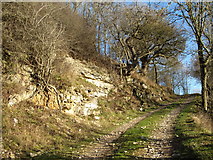 SE5387 : Exposed rock in Caydale by Gordon Hatton