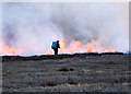 NZ0045 : Heather burning near Hisehope Head by Trevor Littlewood