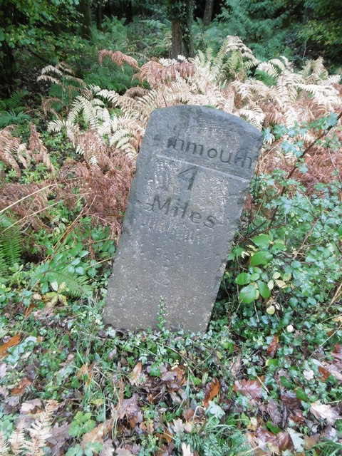 Old Milestone by the A4136, near the 'Long Stone'