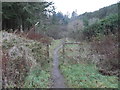 Footpath entering Craig Phadraig Forest