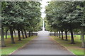 O1234 : Irish National War Memorial Gardens by N Chadwick