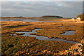 Waterside Saltmarsh