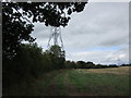 Track and pylon near Knighton